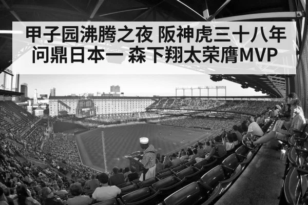 baseball stadium crowd